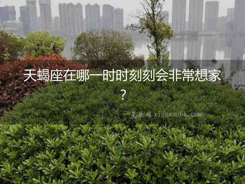 天蝎座在哪一時(shí)時(shí)刻刻會(huì)非常想家？