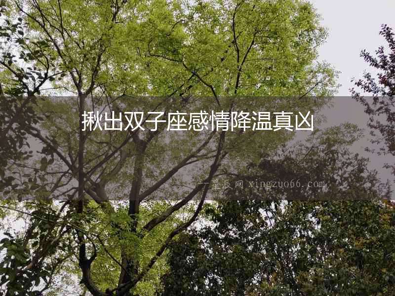 揪出雙子座感情降溫真兇