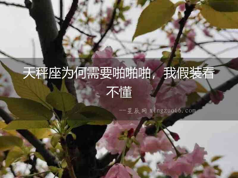 天秤座為何需要啪啪啪，我假裝看不懂