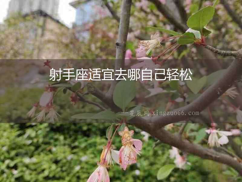 射手座適宜去哪自己輕松