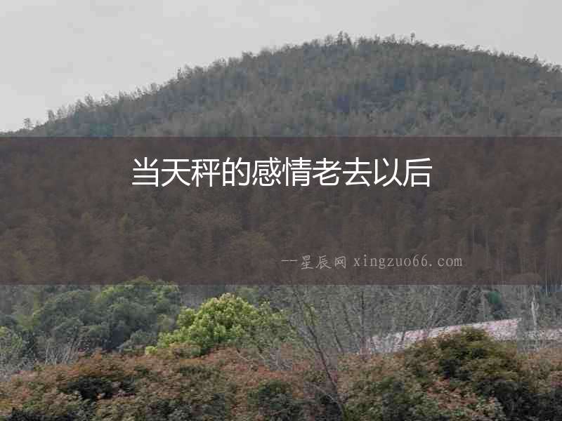當天秤的感情老去以后