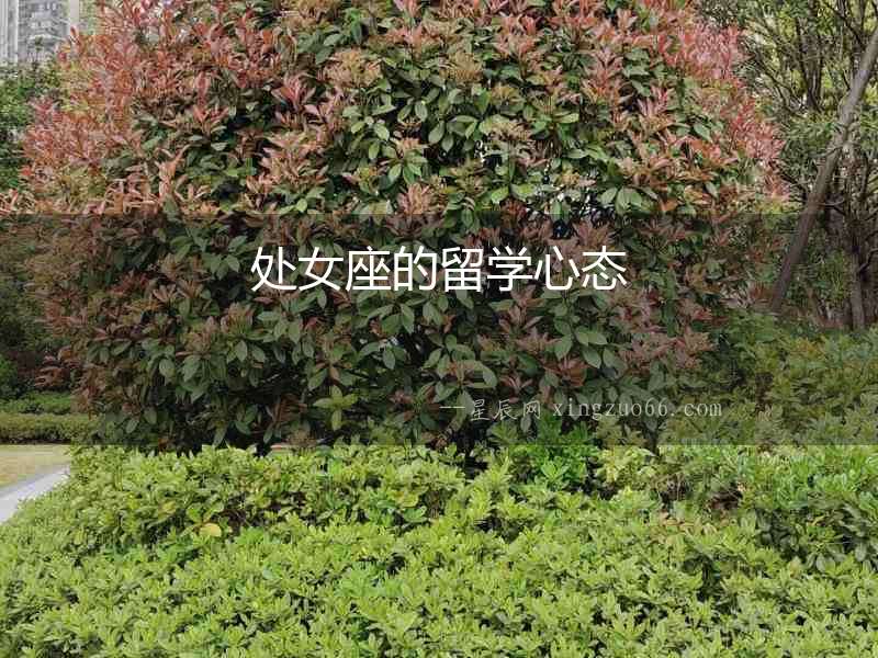 處女座的留學(xué)心態(tài)