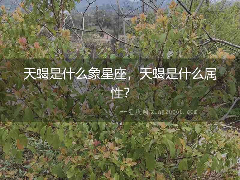 天蝎是什么象星座，天蝎是什么屬性？