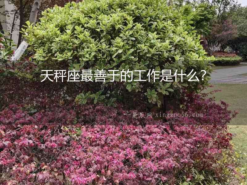 天秤座最善于的工作是什么？