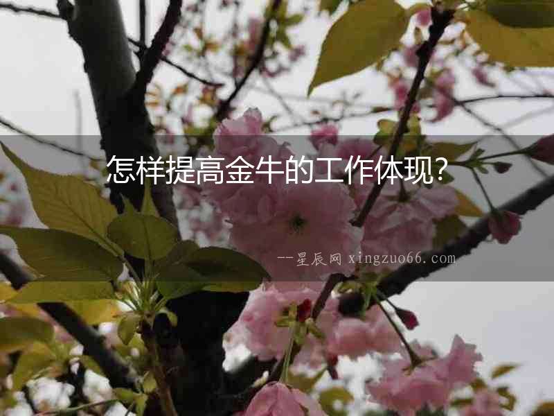 怎樣提高金牛的工作體現？