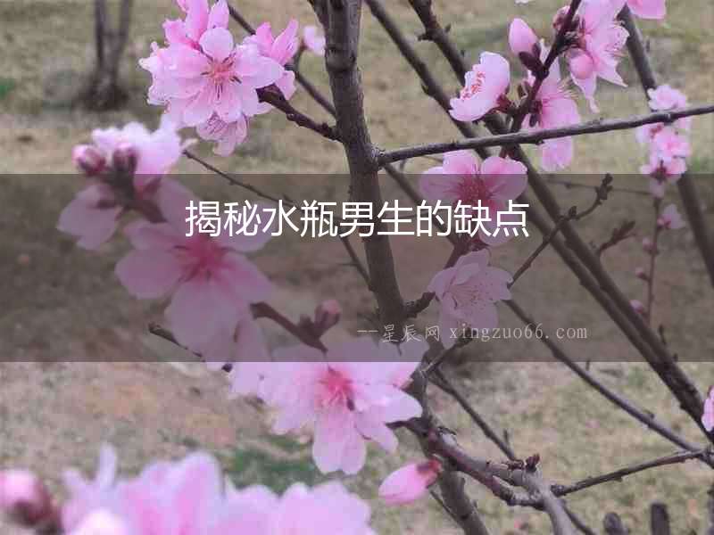 揭秘水瓶男生的缺點