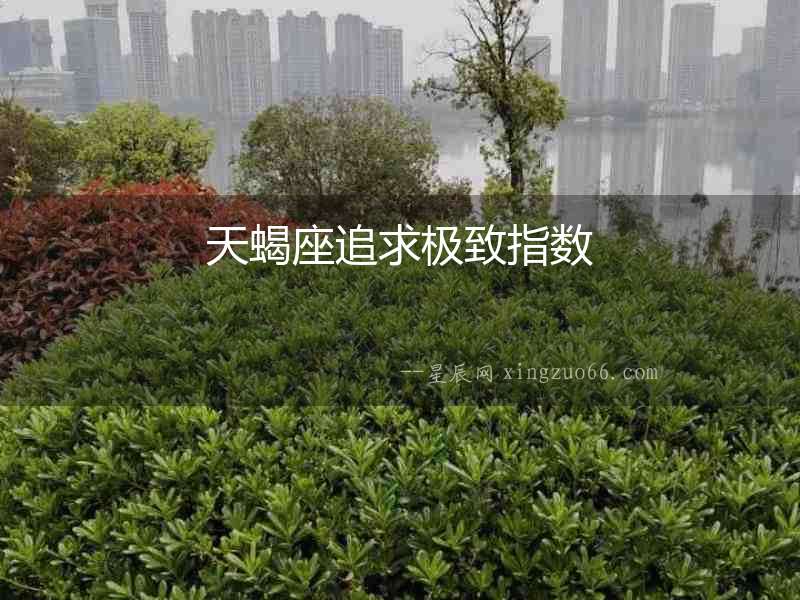 天蝎座追求極致指數