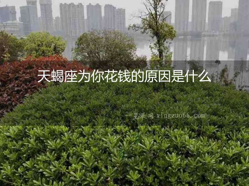天蝎座為你花錢的原因是什么