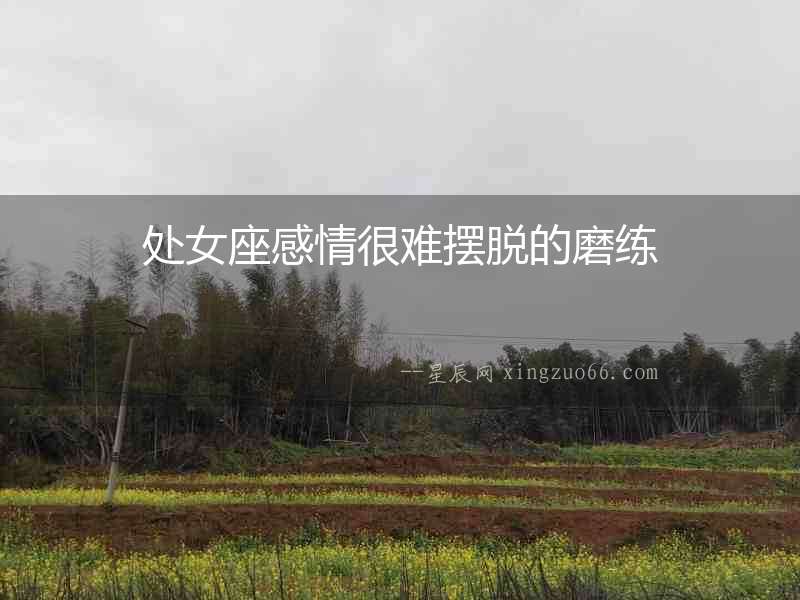 處女座感情很難擺脫的磨練