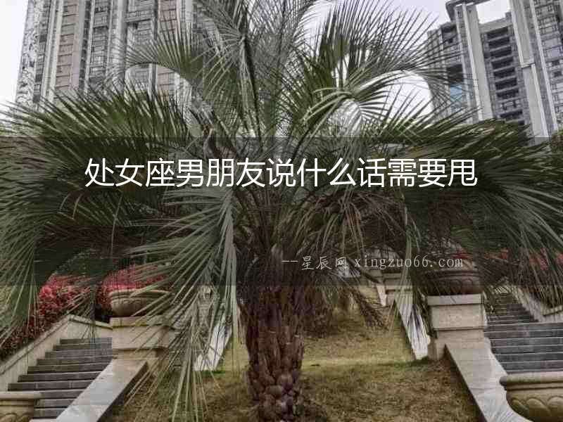 處女座男朋友說什么話需要甩