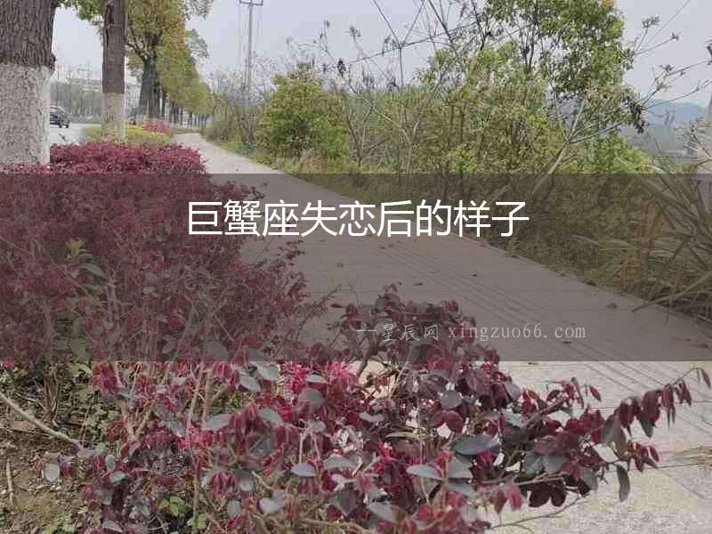 巨蟹座失戀后的樣子