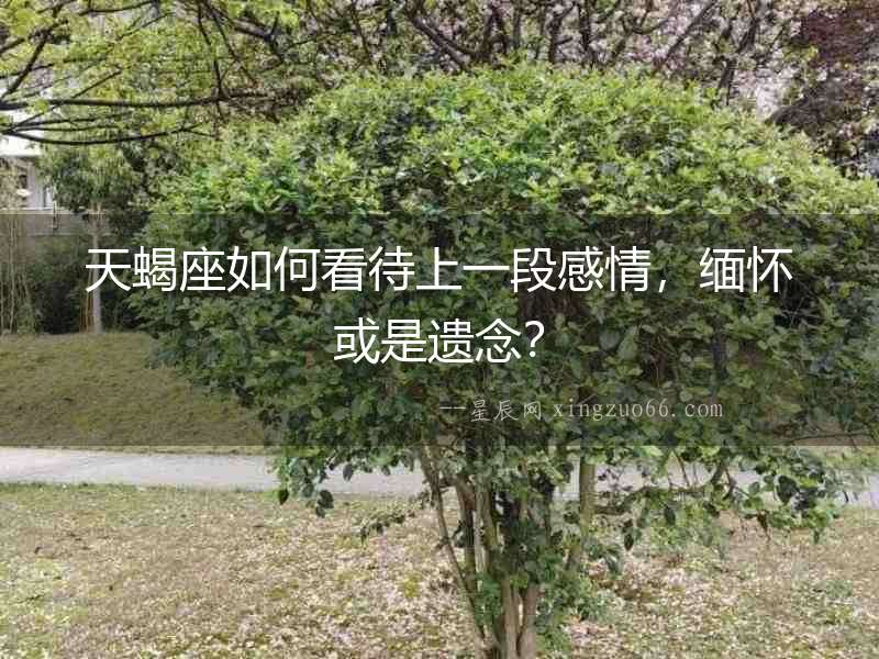 天蝎座如何看待上一段感情，緬懷或是遺念？