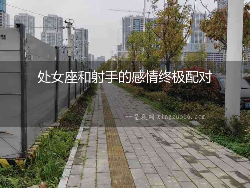 處女座和射手的感情終極配對