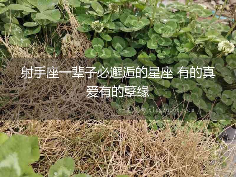 射手座一輩子必邂逅的星座 有的真愛有的孽緣