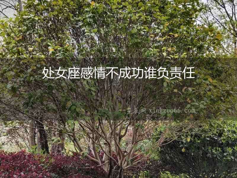 處女座感情不成功誰負責任