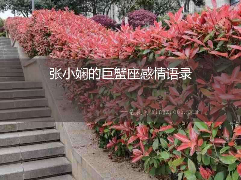 張小嫻的巨蟹座感情語錄