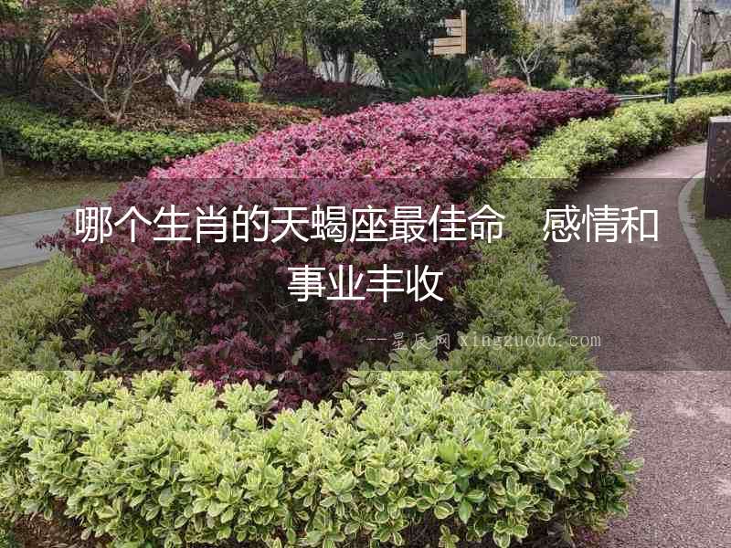 哪個生肖的天蝎座最佳命   感情和事業豐收