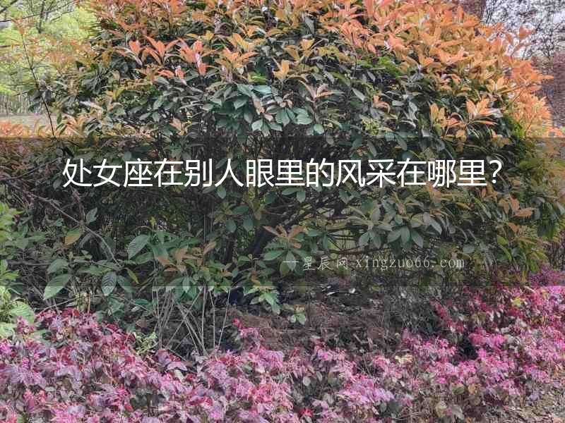 處女座在別人眼里的風(fēng)采在哪里？