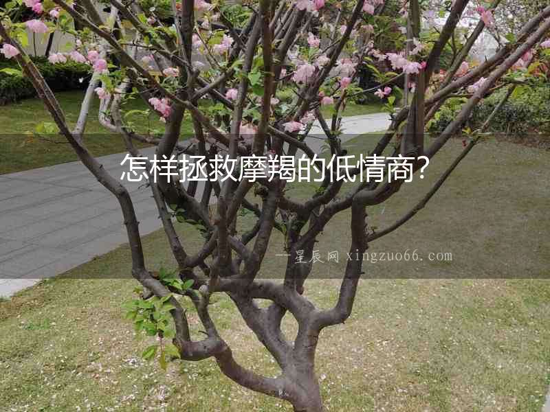 怎樣拯救摩羯的低情商？