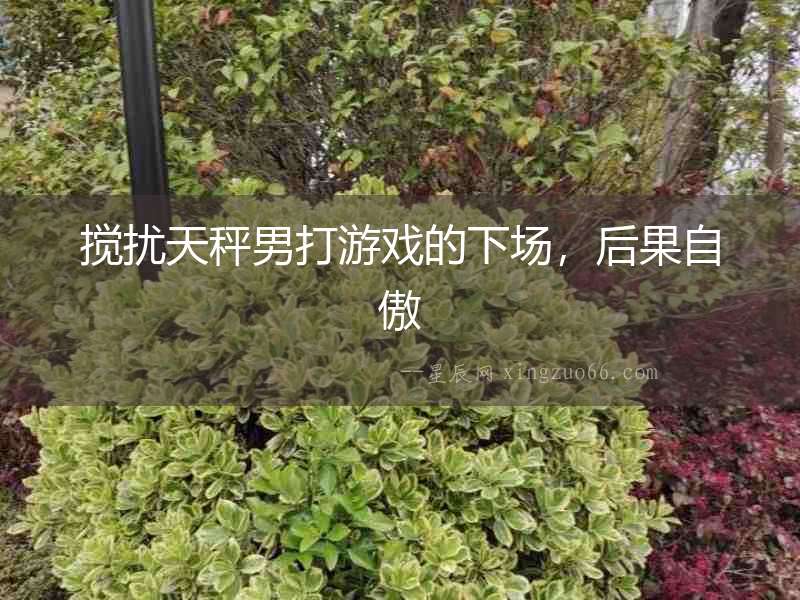 攪擾天秤男打游戲的下場，后果自傲