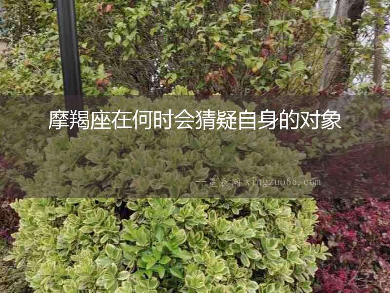 摩羯座在何時(shí)會(huì)猜疑自身的對(duì)象