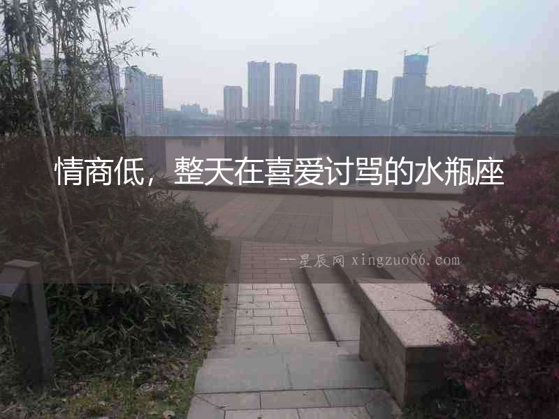 情商低，整天在喜愛討罵的水瓶座