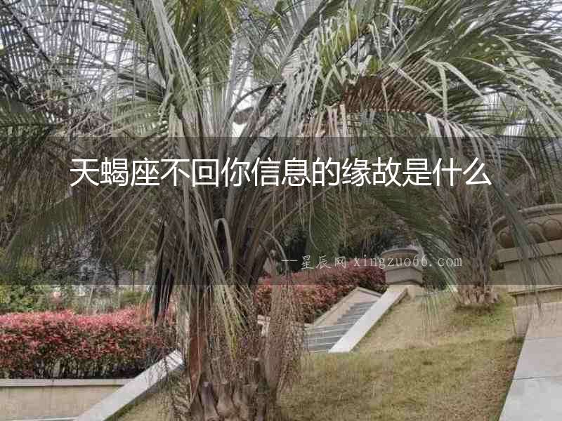天蝎座不回你信息的緣故是什么