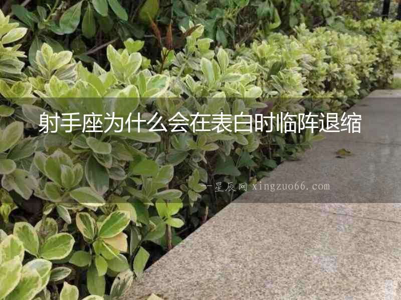 射手座為什么會在表白時臨陣退縮