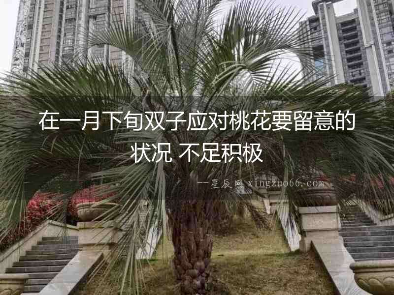 在一月下旬雙子應對桃花要留意的狀況 不足積極