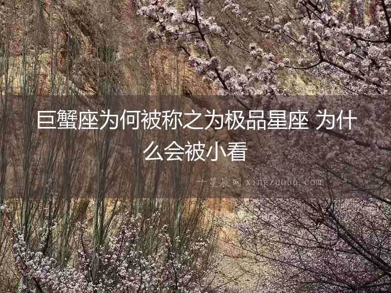 巨蟹座為何被稱之為極品星座 為什么會被小看