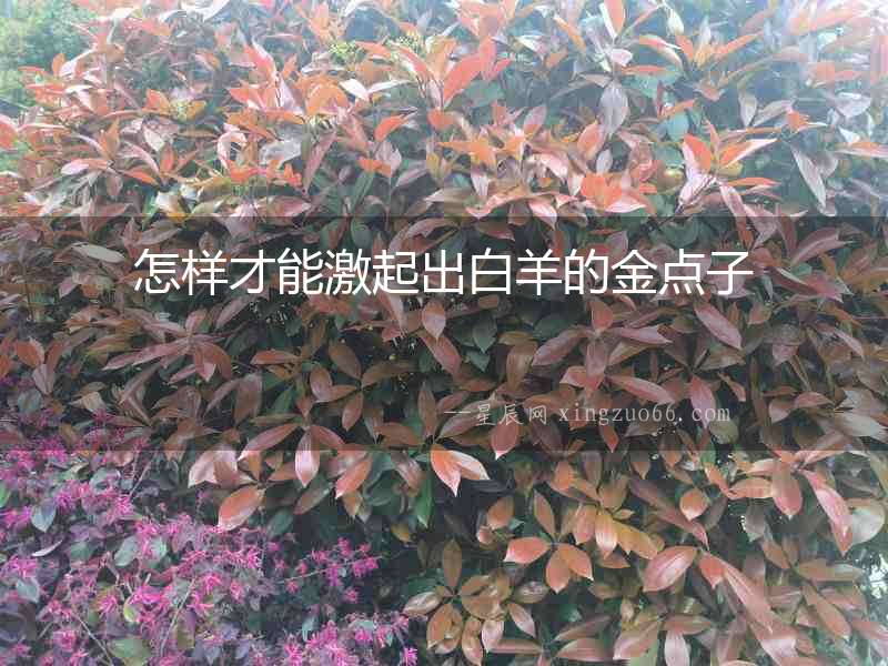 怎樣才能激起出白羊的金點子