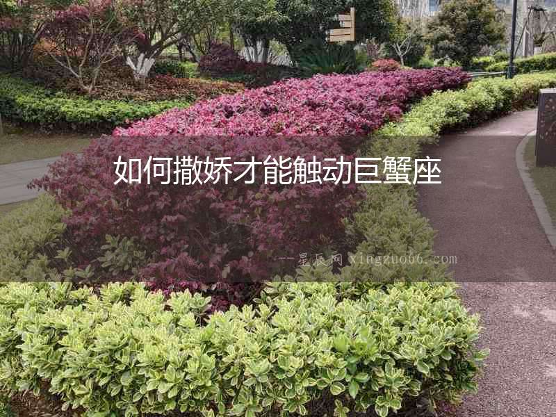 如何撒嬌才能觸動巨蟹座