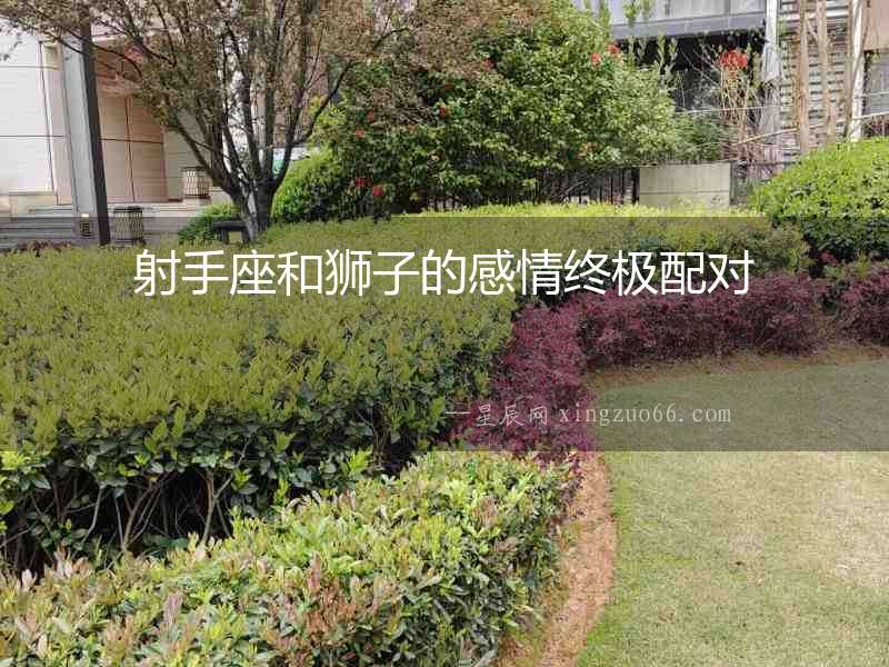 射手座和獅子的感情終極配對