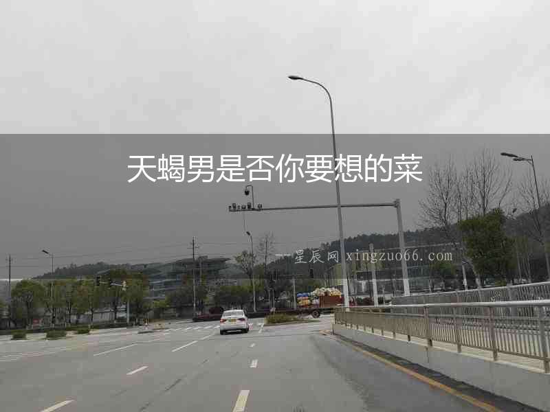 天蝎男是否你要想的菜