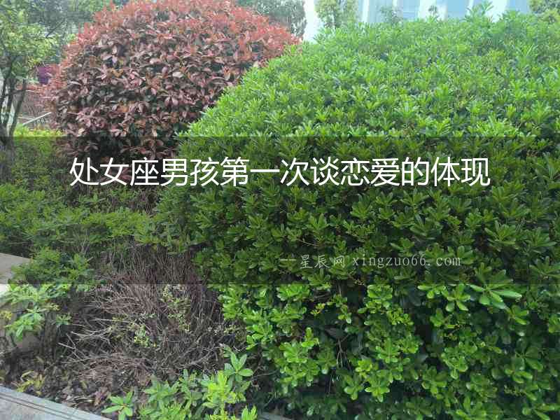 處女座男孩第一次談戀愛的體現