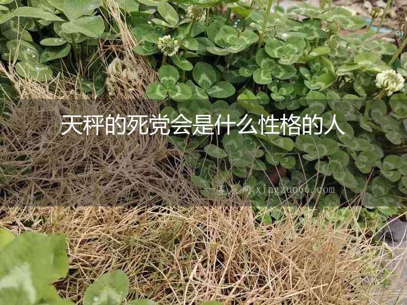 天秤的死黨會是什么性格的人