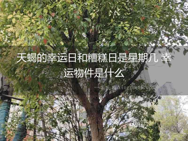 天蝎的幸運日和糟糕日是星期幾 幸運物件是什么