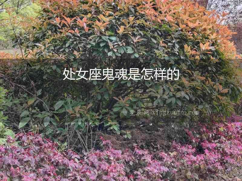 處女座鬼魂是怎樣的