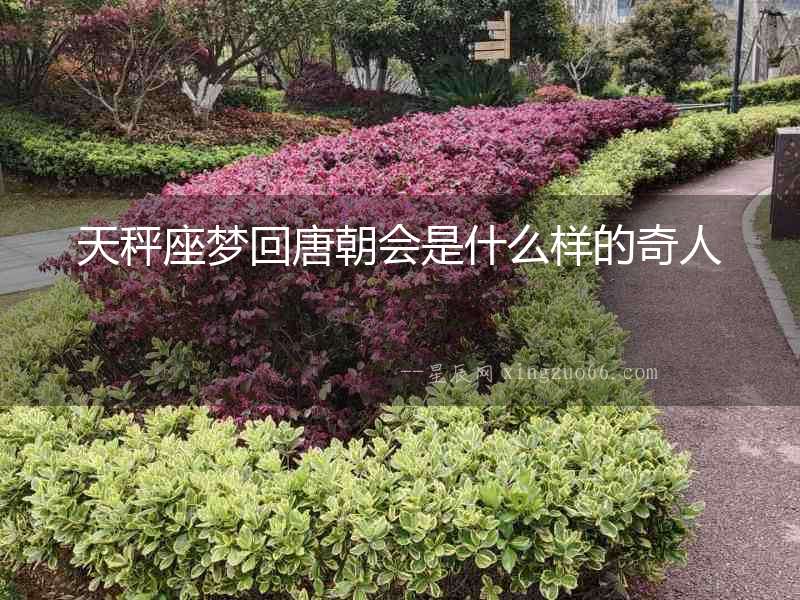 天秤座夢回唐朝會是什么樣的奇人