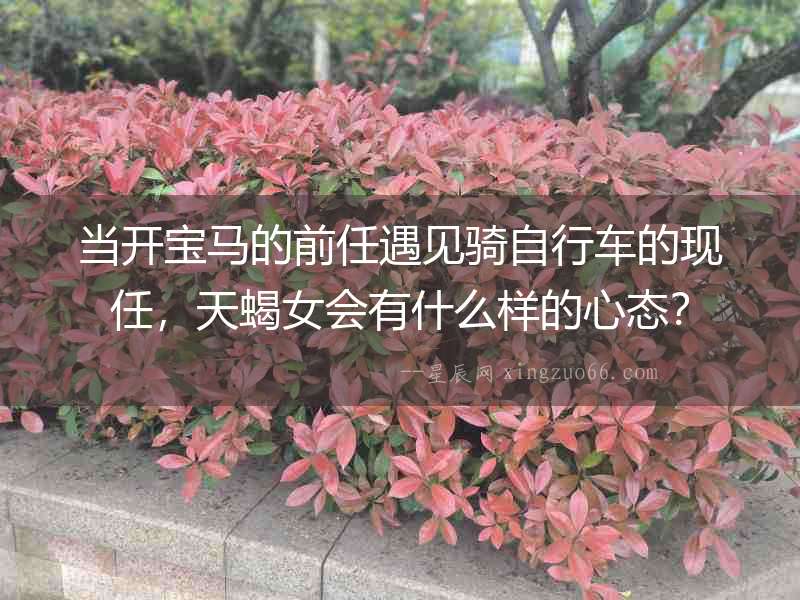 當(dāng)開寶馬的前任遇見騎自行車的現(xiàn)任，天蝎女會(huì)有什么樣的心態(tài)？