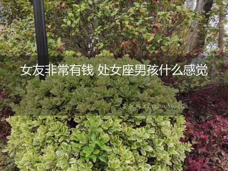 女友非常有錢 處女座男孩什么感覺