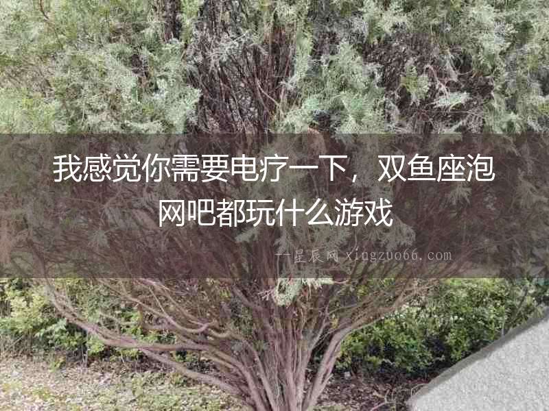 我感覺你需要電療一下，雙魚座泡網吧都玩什么游戲