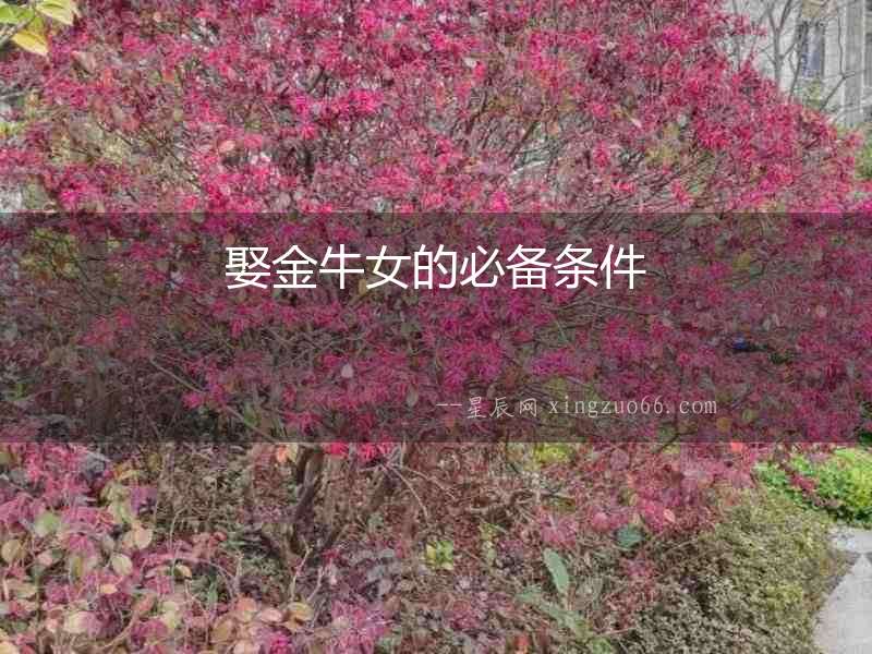 娶金牛女的必備條件