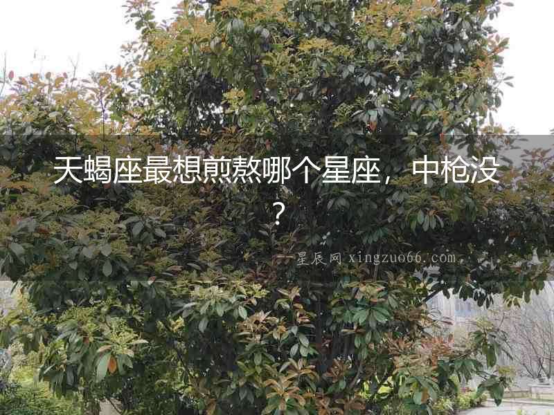 天蝎座最想煎熬哪個(gè)星座，中槍沒？