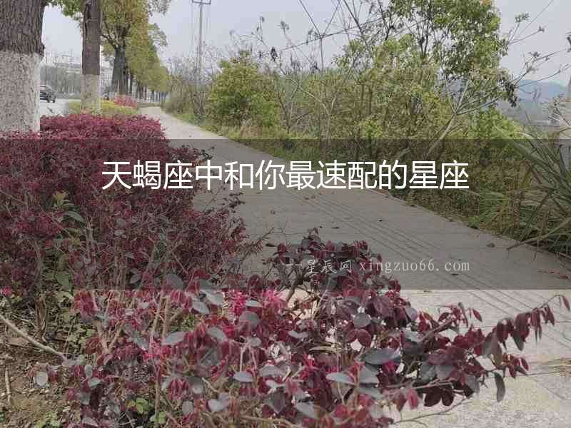 天蝎座中和你最速配的星座