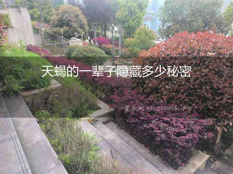 天蝎的一輩子隱藏多少秘密
