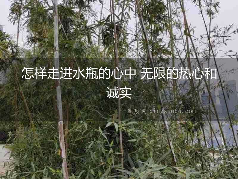 怎樣走進(jìn)水瓶的心中 無限的熱心和誠實(shí)