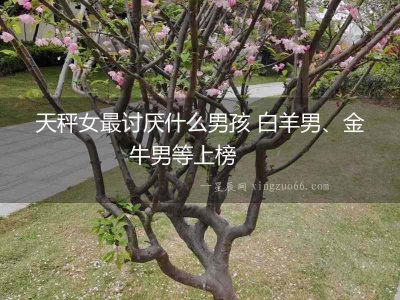 天秤女最討厭什么男孩 白羊男、金牛男等上榜  　　