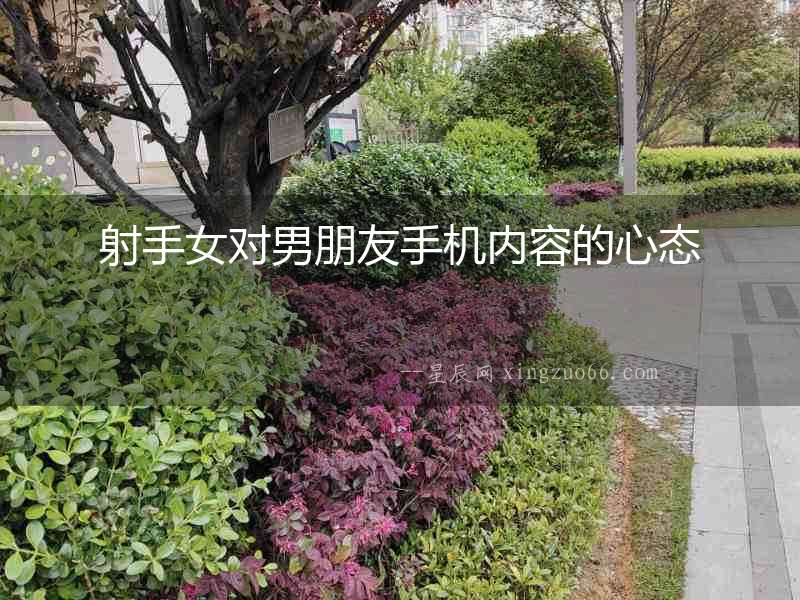 射手女對男朋友手機內容的心態