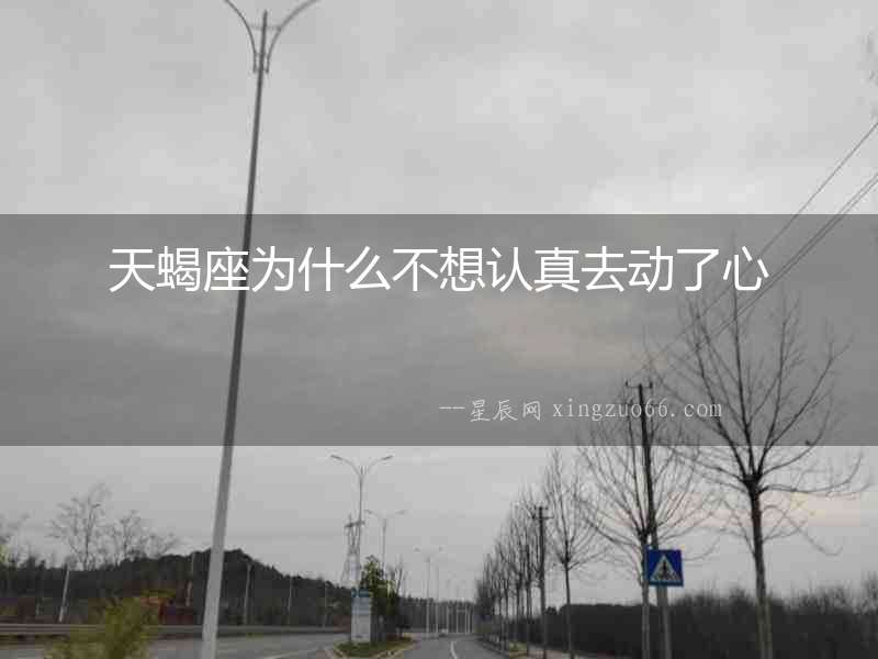 天蝎座為什么不想認真去動了心